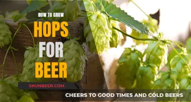 Grow Your Own Hops for Beer: A Step-by-Step Guide