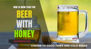 Sweet Yeast Brew: Honey's Role in Beer Fermentation