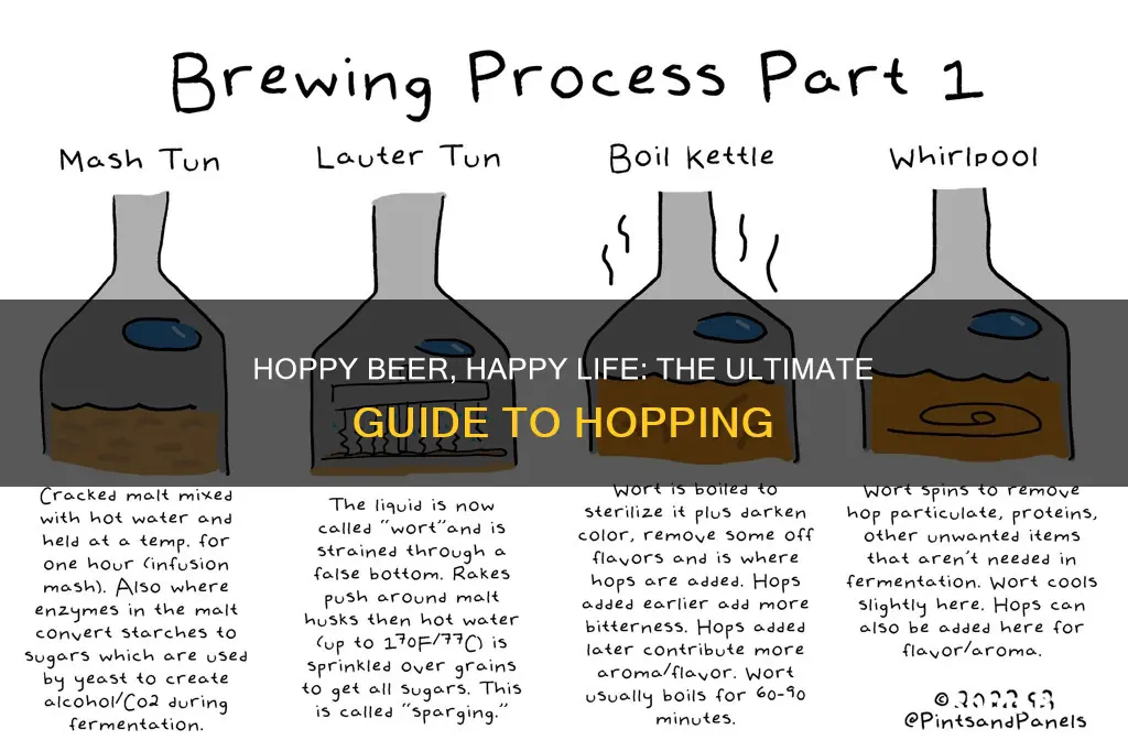 how to hop beer