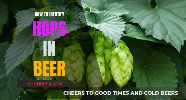 Identifying Hops in Beer: A Guide to Flavor and Aroma