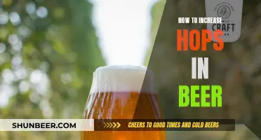 Enhancing Beer Flavor: Increasing Hops for Better Taste