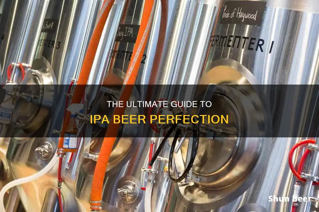 how to ipa beer