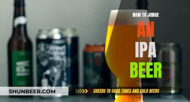 Judging IPA Beers: A Guide to Evaluating the Best