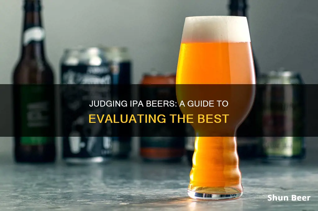 how to judge an ipa beer