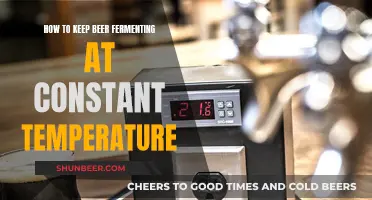 Mastering Beer Fermentation: Tips for Maintaining Consistent Temperatures