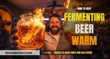 Mastering the Art of Warm Fermentation: Tips for Beer Enthusiasts