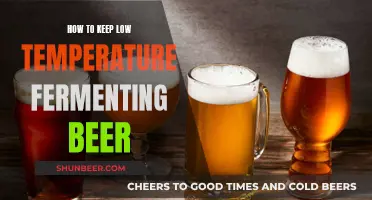 Mastering Low-Temperature Fermentation: Tips for Crafting Crisp, Refreshing Beer