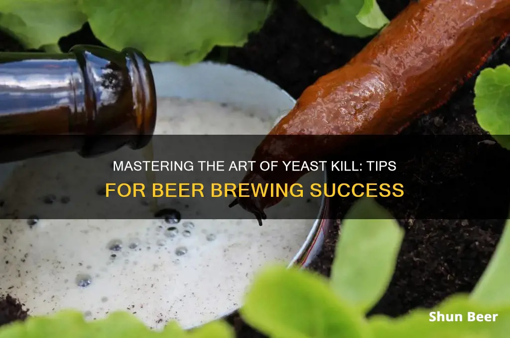 how to kill beer yeast