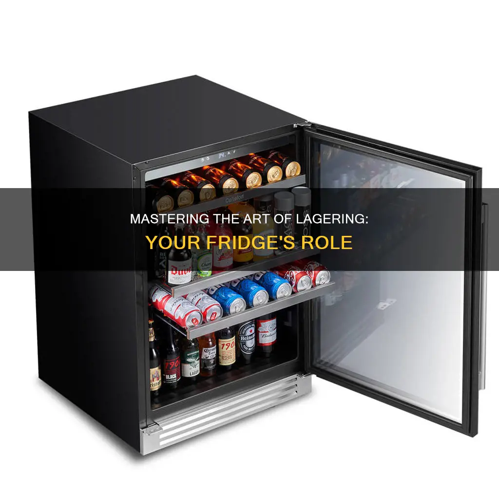 how to lager beer with a fridge