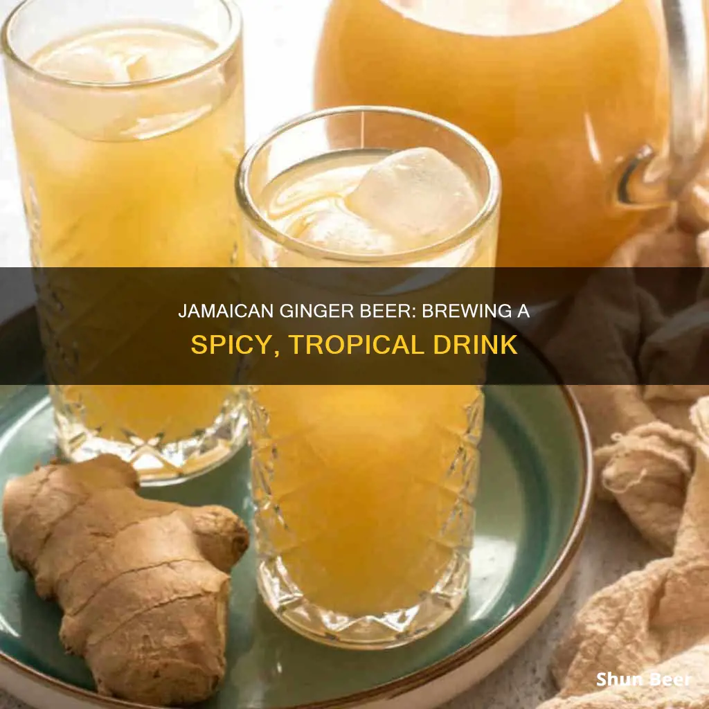 how to make jamaican ginger beer drink