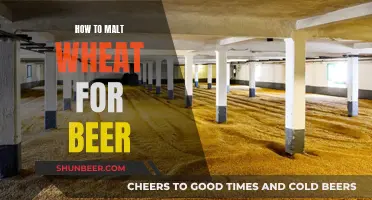 Malted Wheat: The Magic Behind Delicious Beer