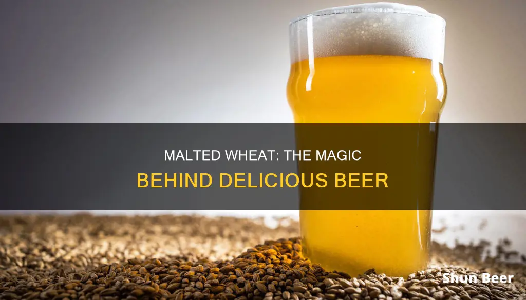 how to malt wheat for beer