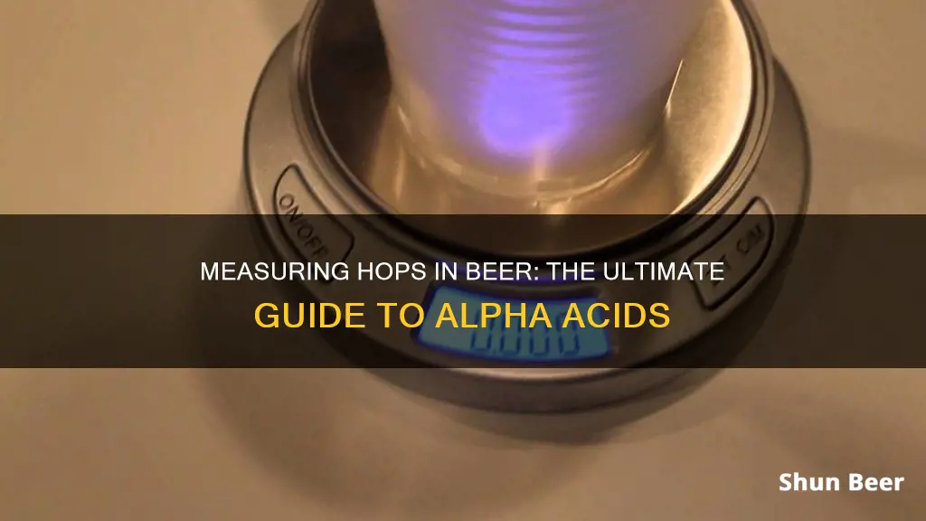 how to measure hops in beer