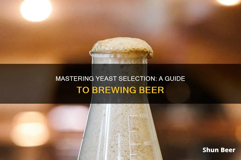 how to pick yeast for beer