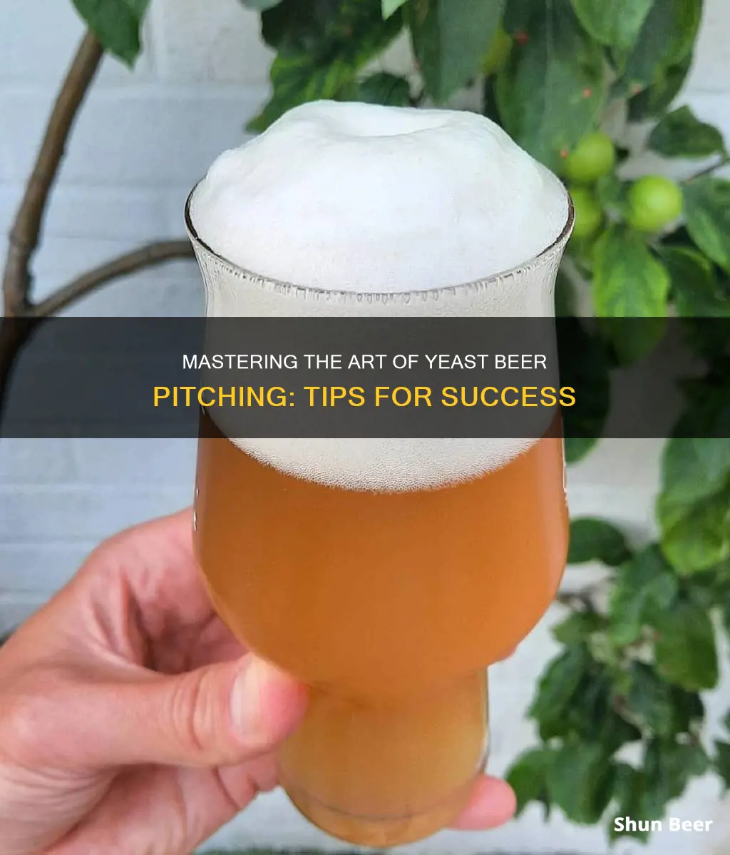 how to pitch yeast beer