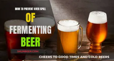 Mastering the Art of Beer Fermentation: Preventing Overflow