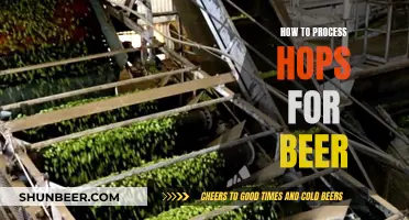 Processing Hops for Beer: A Step-by-Step Guide