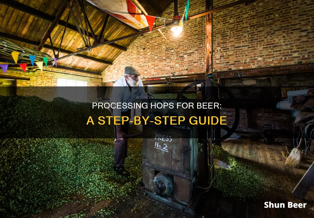 how to process hops for beer