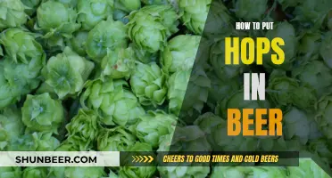 Brewing Basics: Adding Hops for Flavor and Aroma