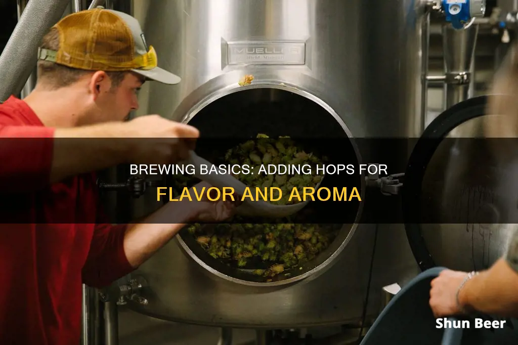 how to put hops in beer