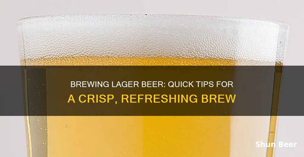 how to quick lager beer