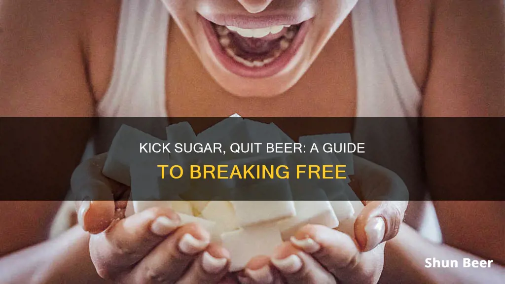 how to quit sugar beer