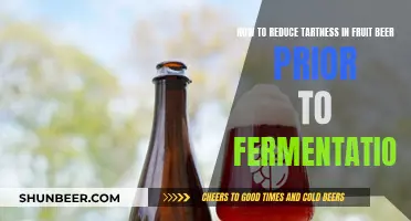 Taming the Tart: Tips to Smoothen Fruit Beer Before Fermentation