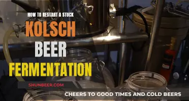 Troubleshooting Stuck Kolsch: Revive Your Fermentation with These Tips