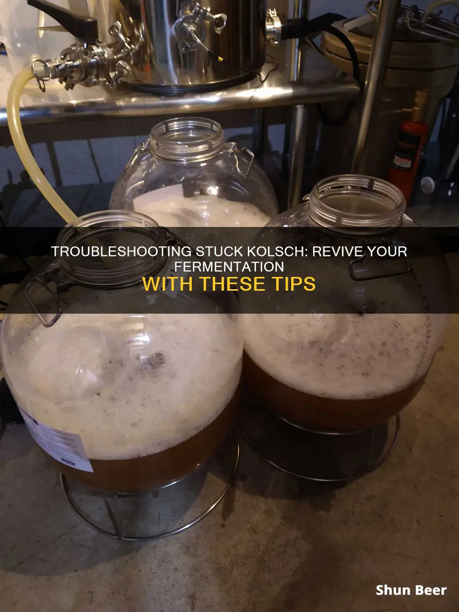 how to restart a stuck kolsch beer fermentation