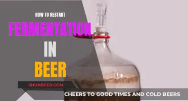 Revive Your Brew: Tips to Restart Beer Fermentation