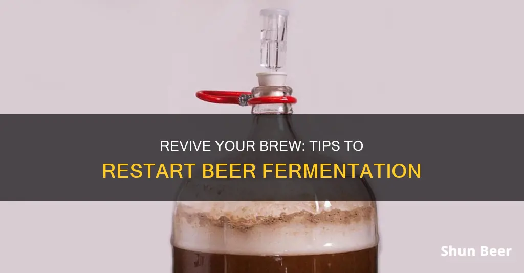 how to restart fermentation in beer