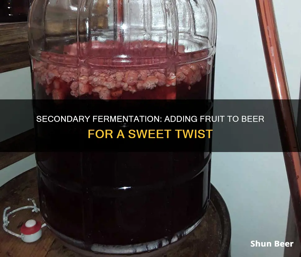 how to secondary ferment beer with fruit