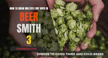 Mastering Beer Smith 3: Displaying Multiple Dry Hops