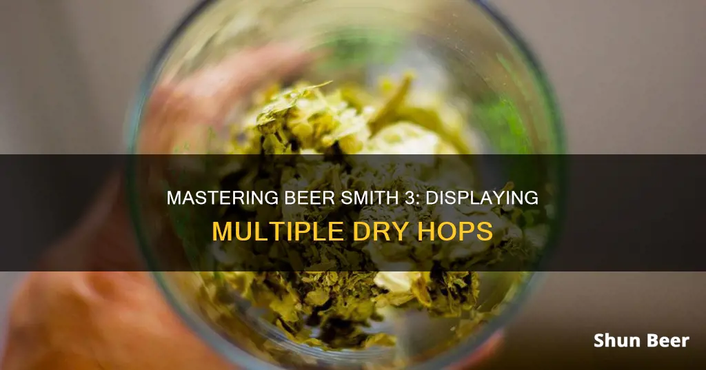 how to show multiple dry hops in beer smith 3