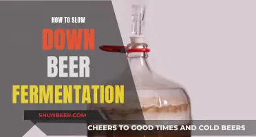 Mastering the Art of Slow Fermentation: Tips for Beer Enthusiasts