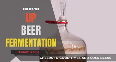 Fermentation Fast Track: Tips for Accelerating Beer Brewing