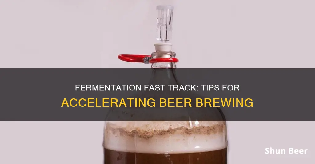 how to speed up beer fermentation