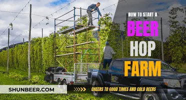 Starting a Beer Hop Farm: A Beginner's Guide