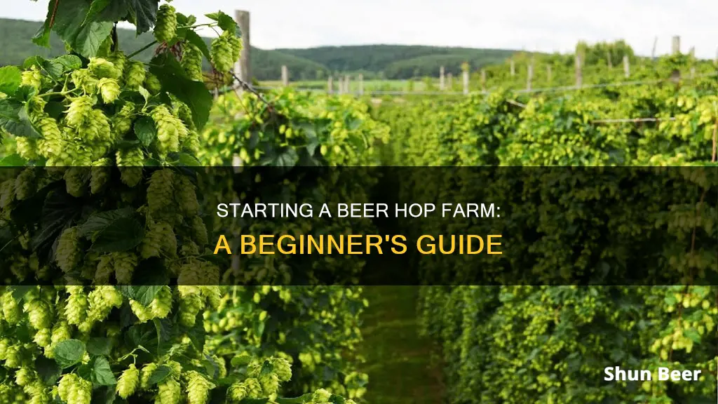 how to start a beer hop farm