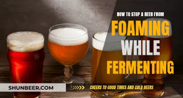 Brewing Bliss: Tips to Control Beer Foam During Fermentation