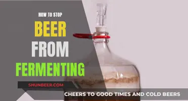 Mastering the Art of Beer Preservation: Stopping Fermentation