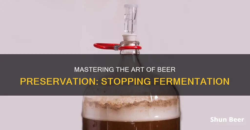 how to stop beer from fermenting