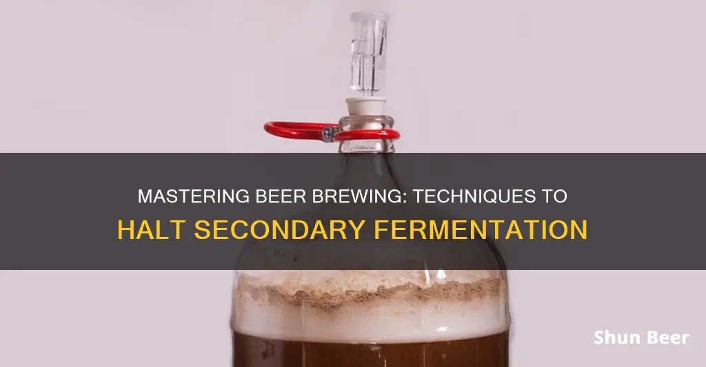 how to stop secondary fermentation in beer