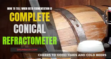 Mastering Beer Fermentation: When to Stop with a Conical Refractometer