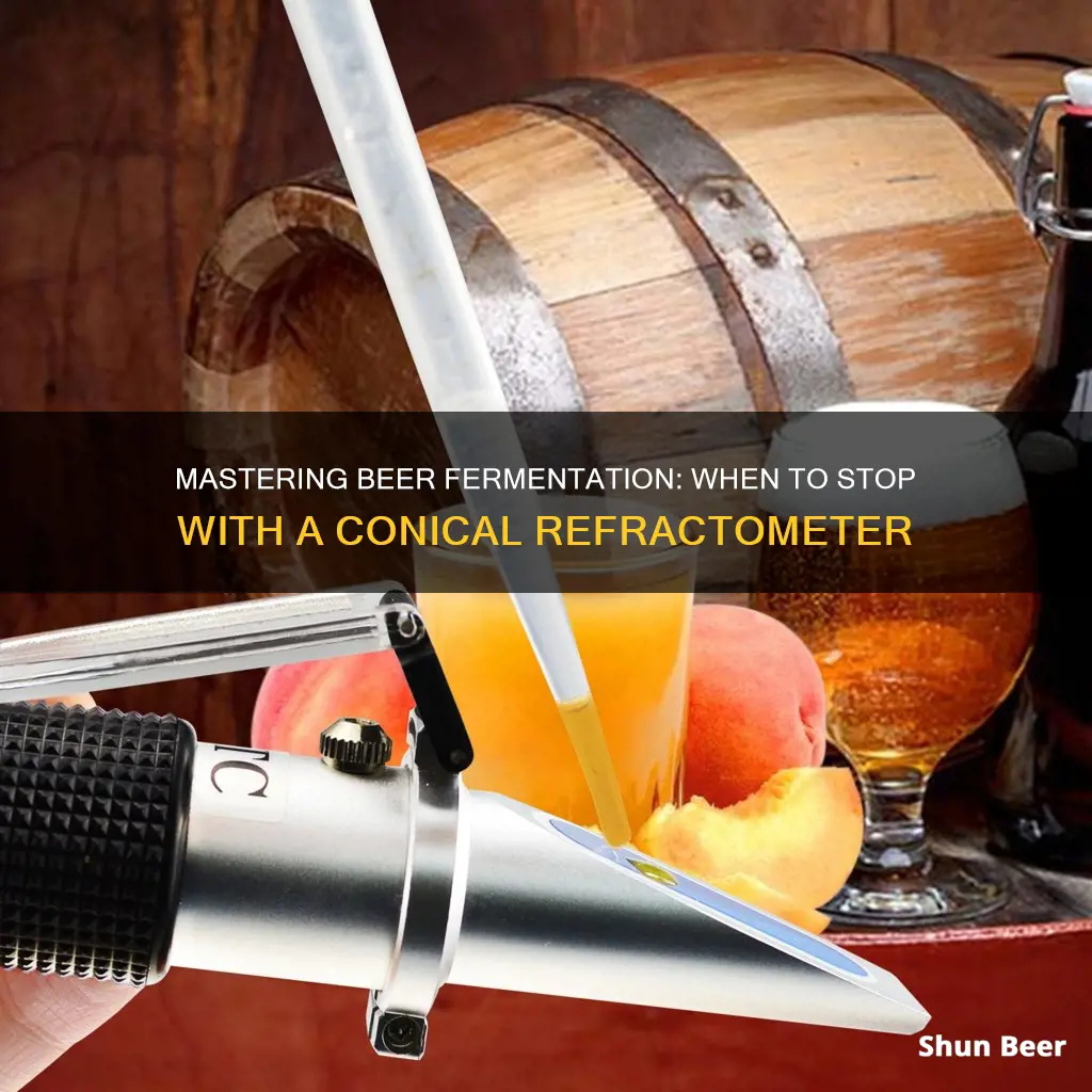 how to tell when beer fermentation is complete conical refractometer