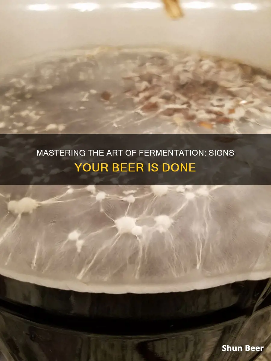 how to tell when beer has stopped fermenting