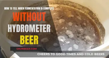 Mastering Fermentation: Signs of Completeness Without a Hydrometer