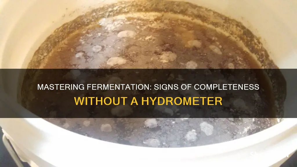 how to tell when fermentation is complete without hydrometer beer