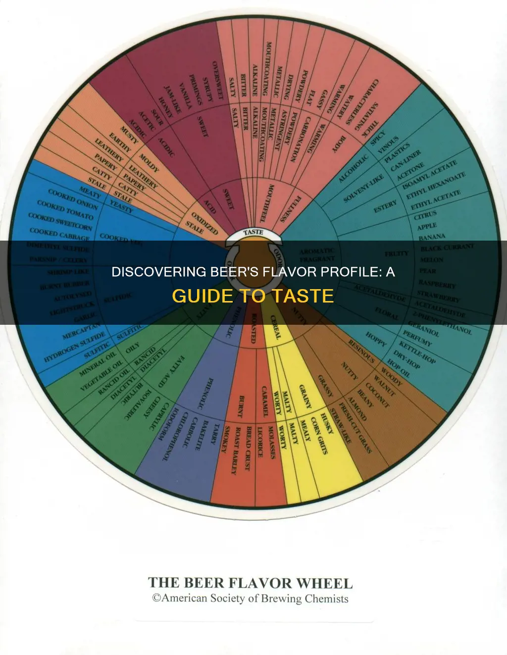 how to tell where different flabord in a beer are