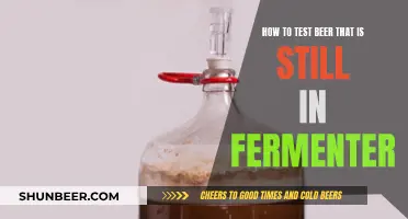 Mastering the Art of Homebrewing: Testing Beer in the Fermenter